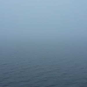 Meet your Posher, Bob